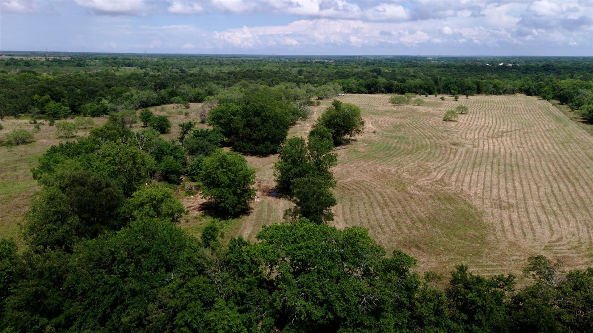 168 acres in Navarro County - photo 35