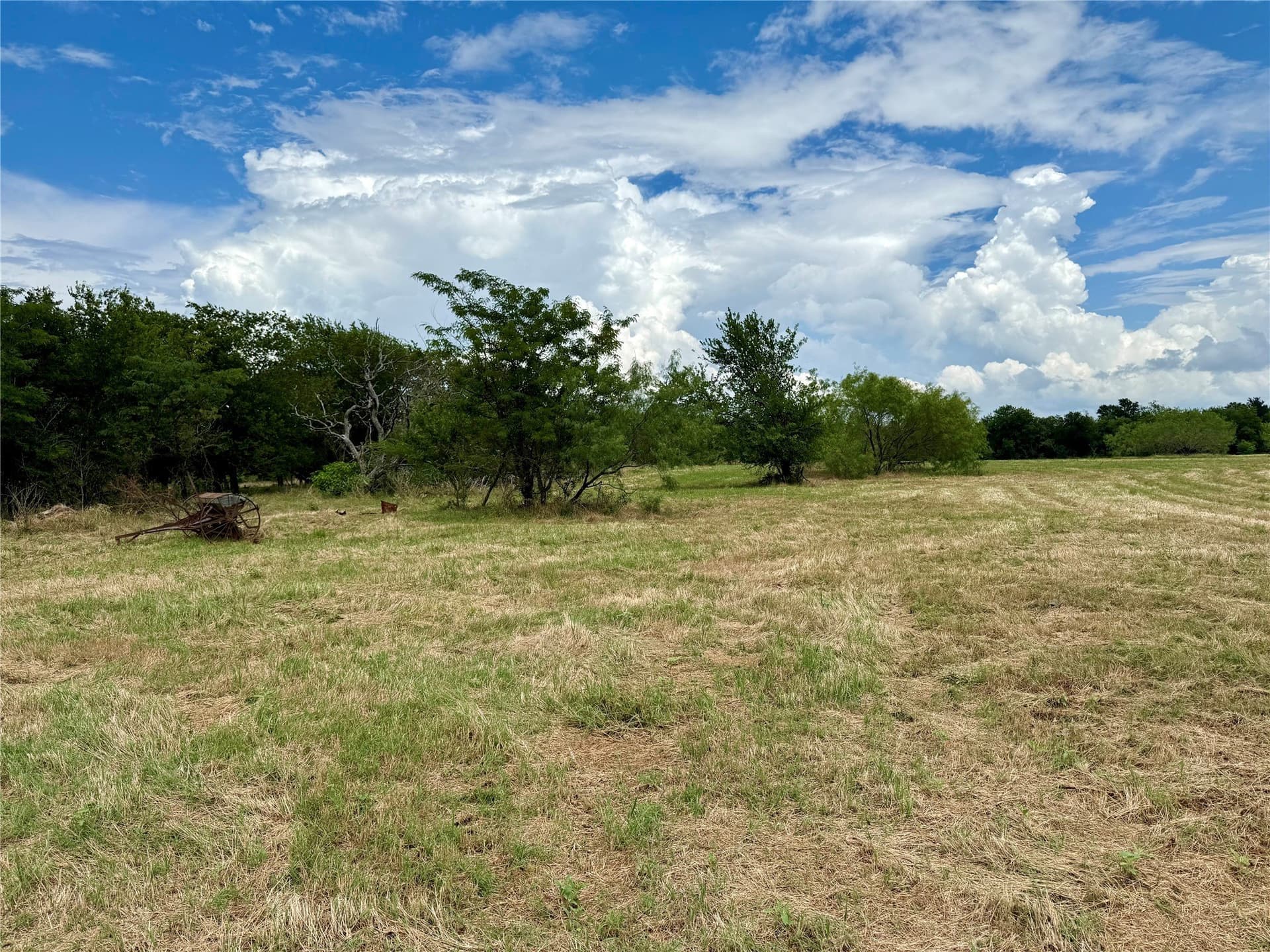 168 acres in Navarro County - photo 12