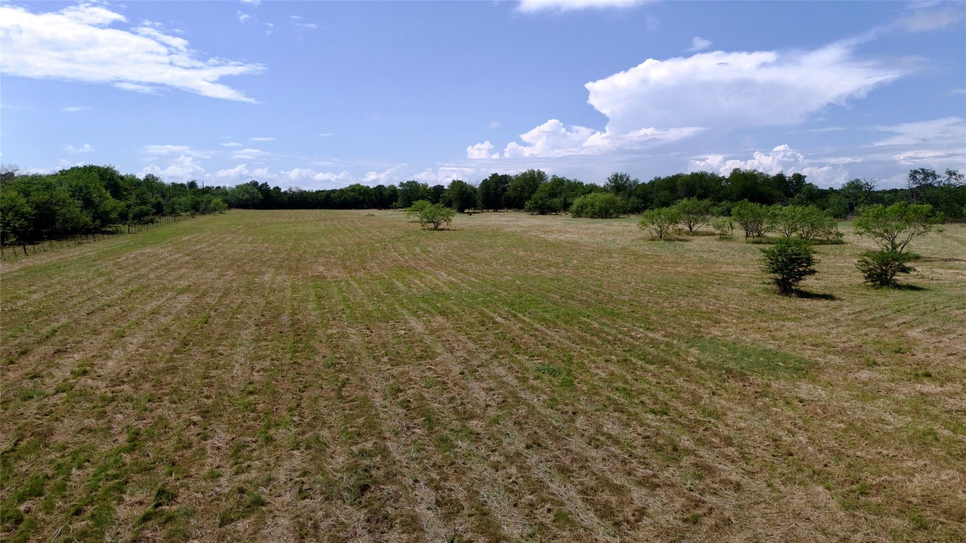 168 acres in Navarro County - photo 10