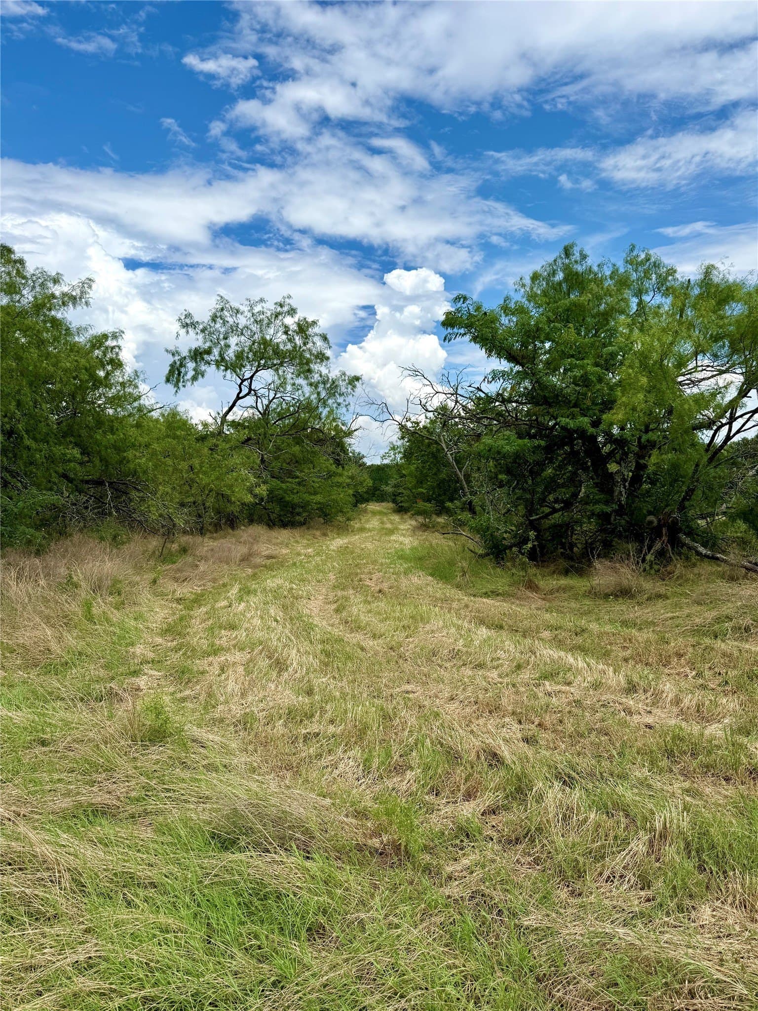 168 acres in Navarro County - photo 16