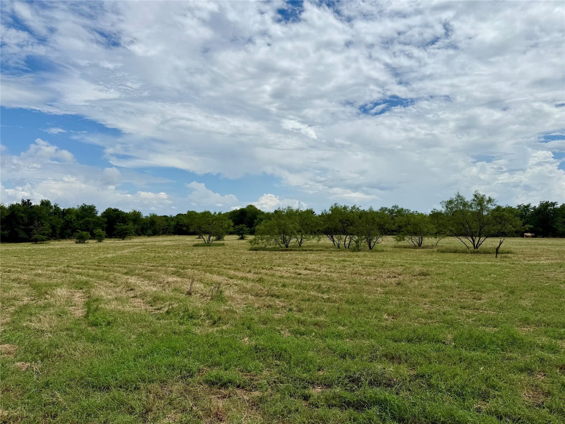 168 acres in Navarro County - photo 14