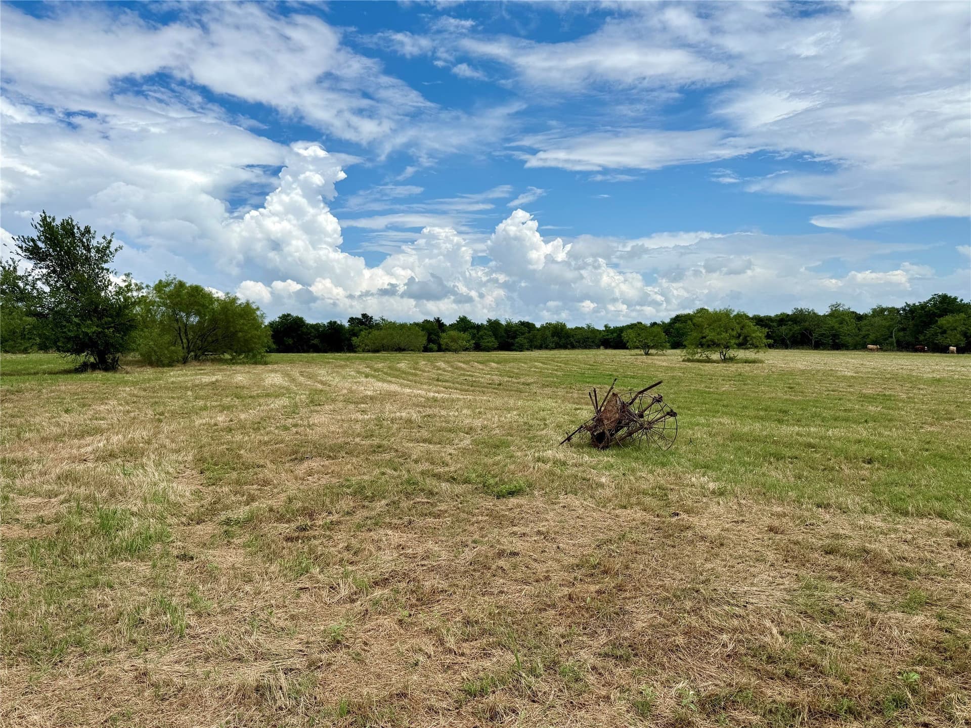 168 acres in Navarro County - photo 11