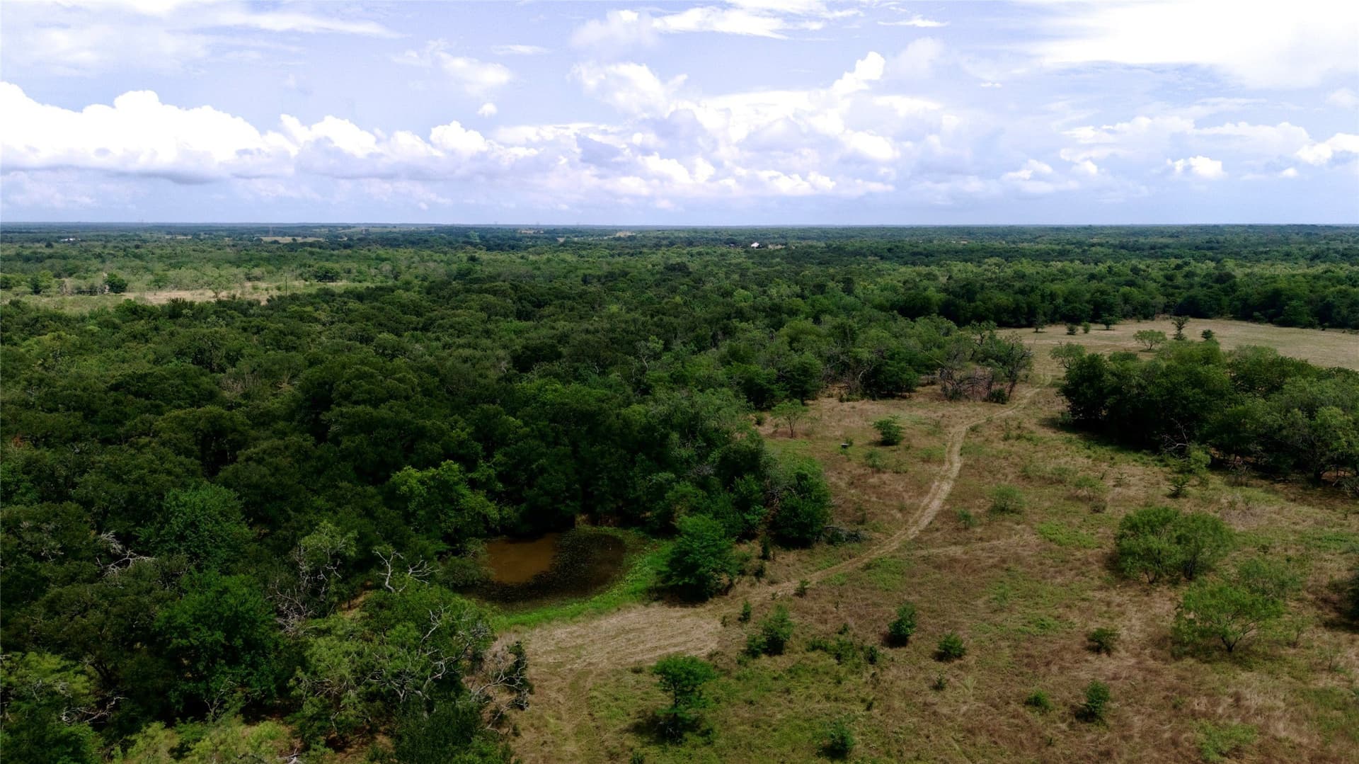 168 acres in Navarro County - photo 5