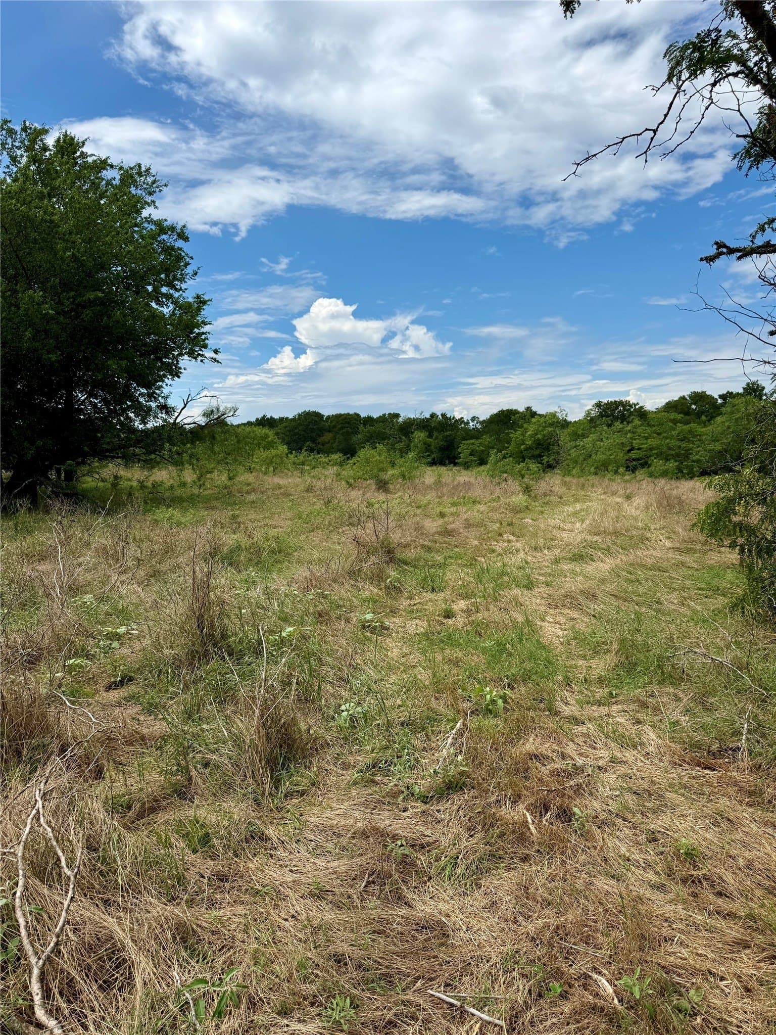168 acres in Navarro County - photo 17