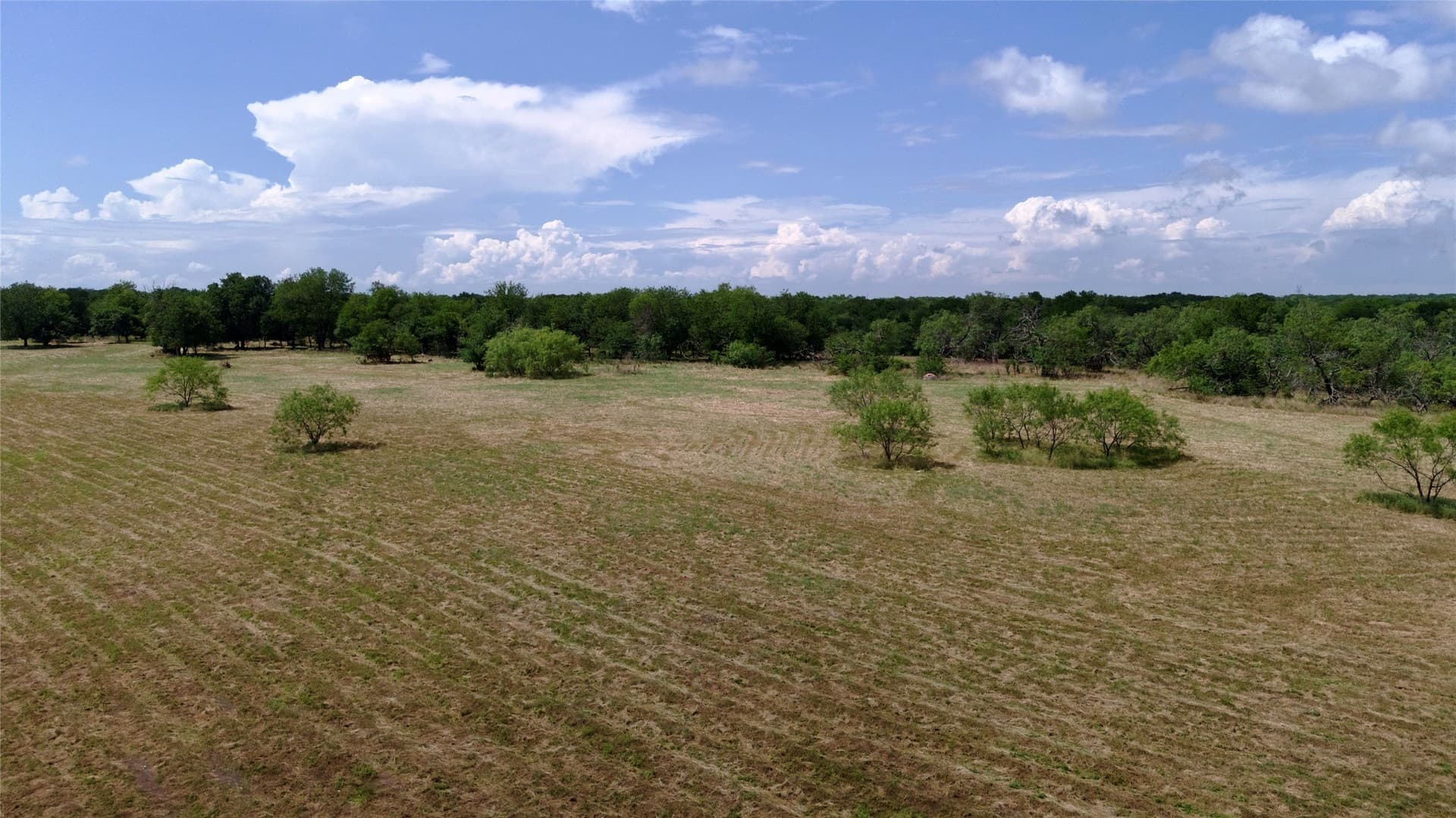 168 acres in Navarro County - photo 32