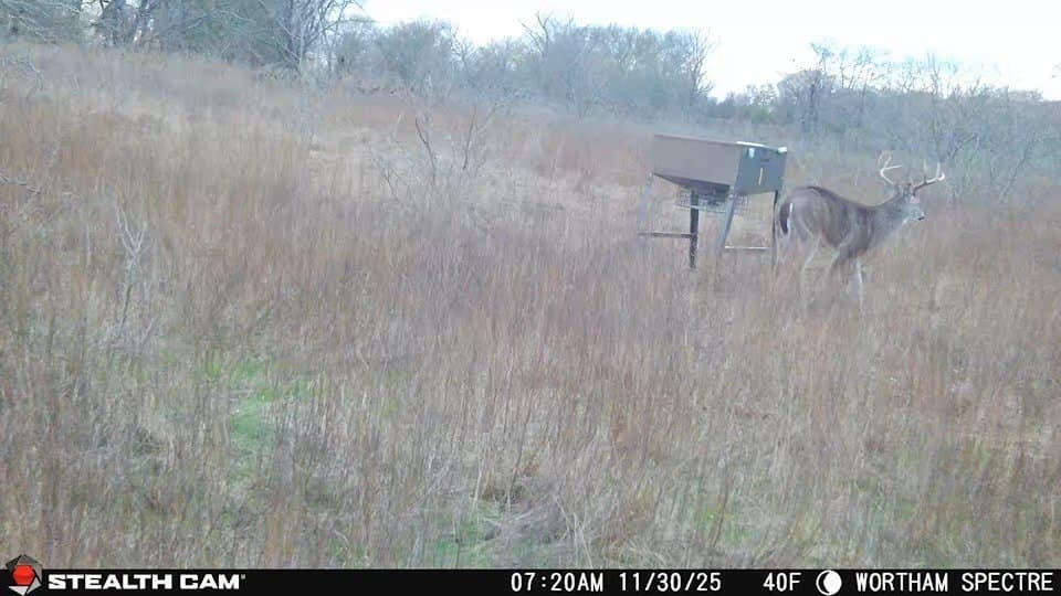 168 acres in Navarro County - photo 38
