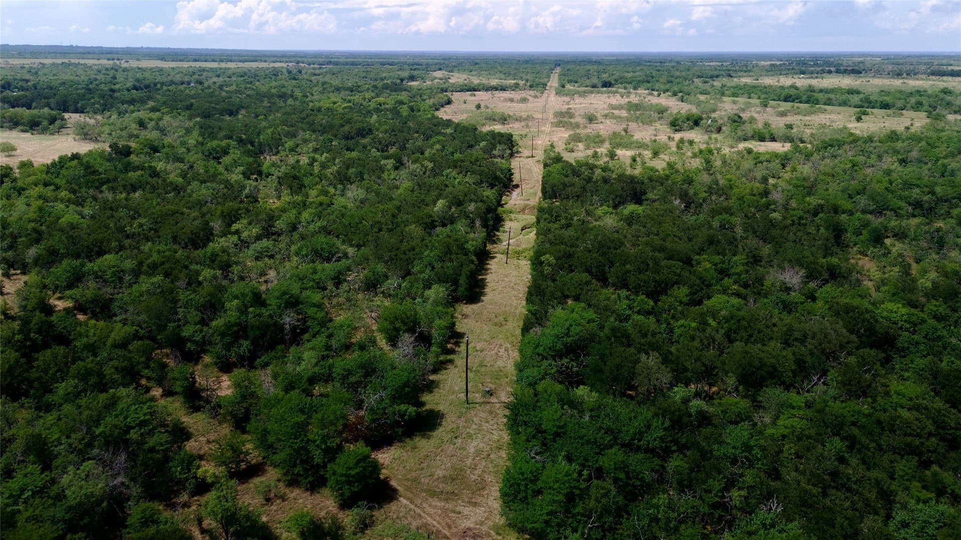 168 acres in Navarro County - photo 30