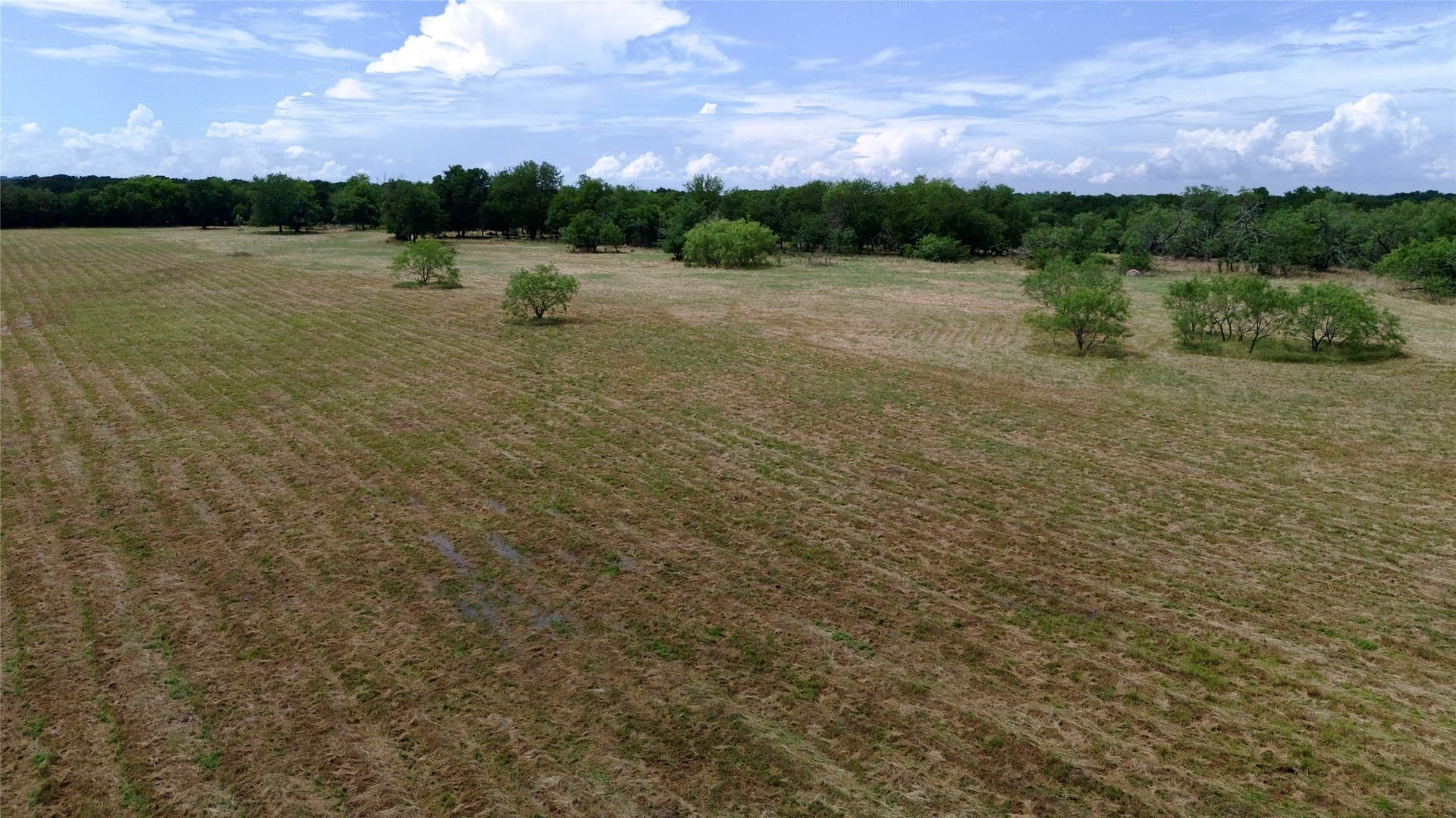 168 acres in Navarro County - photo 19
