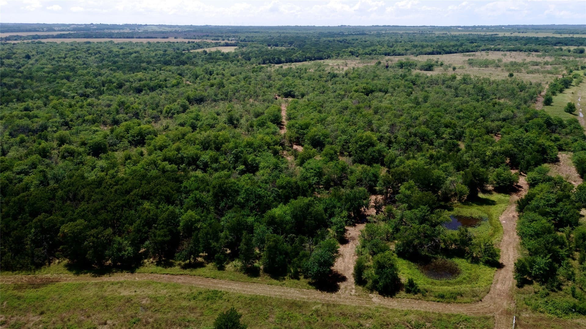 168 acres in Navarro County - photo 6
