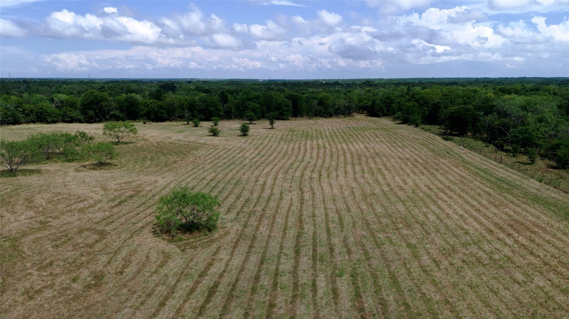 168 acres in Navarro County - photo 33