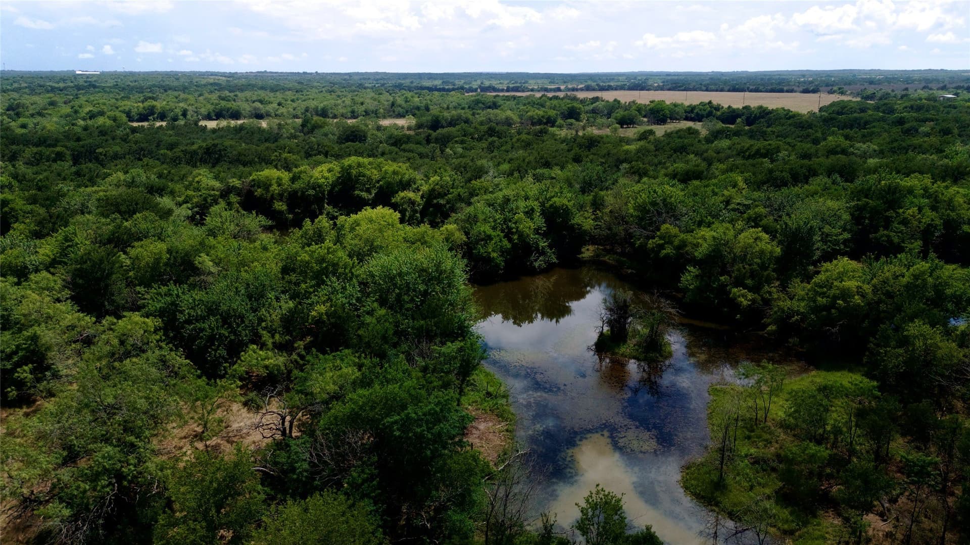 168 acres in Navarro County - photo 26