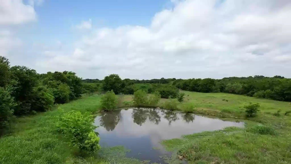 38.5 acres in Kaufman County