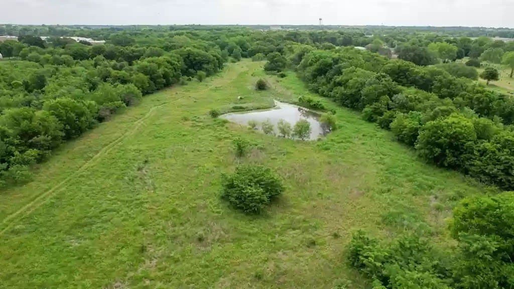 38.5 acres in Kaufman County gallery image 3