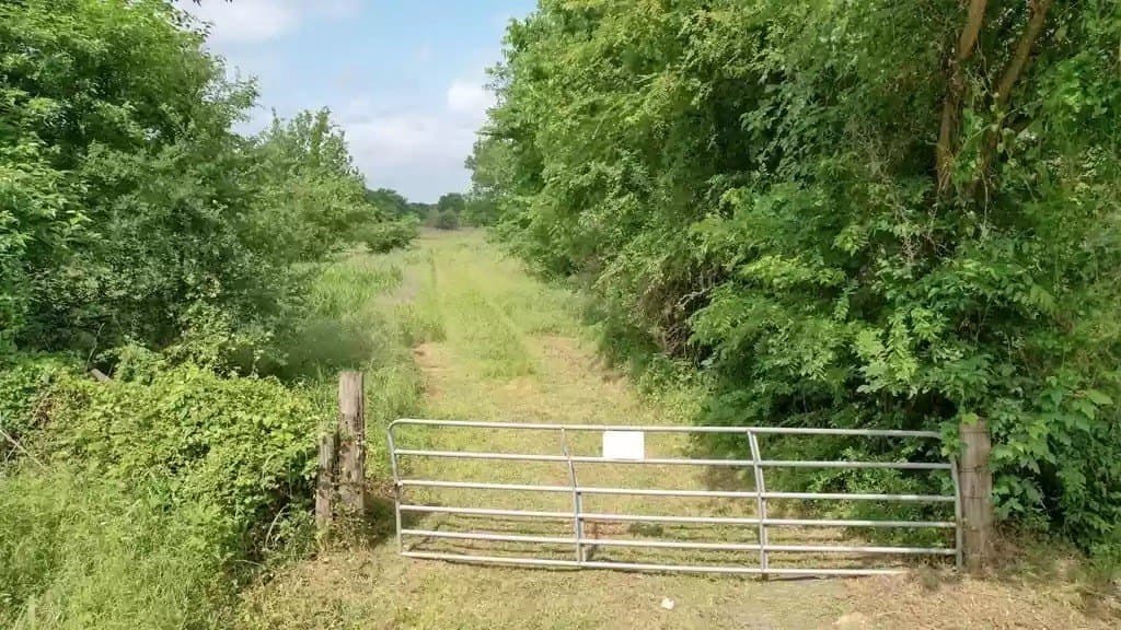 38.5 acres in Kaufman County gallery image 4
