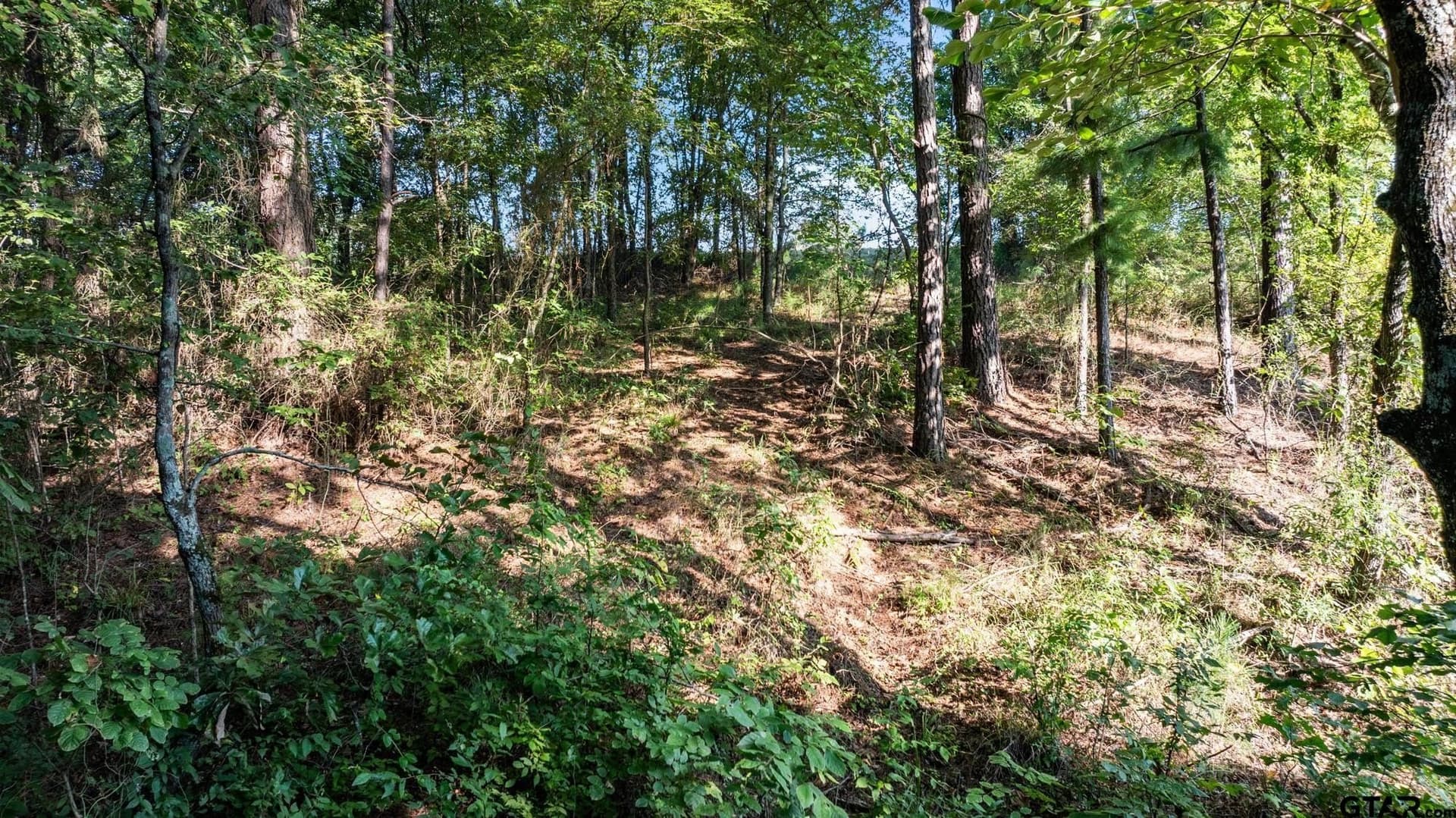 2.24 acres in Smith County - photo 13