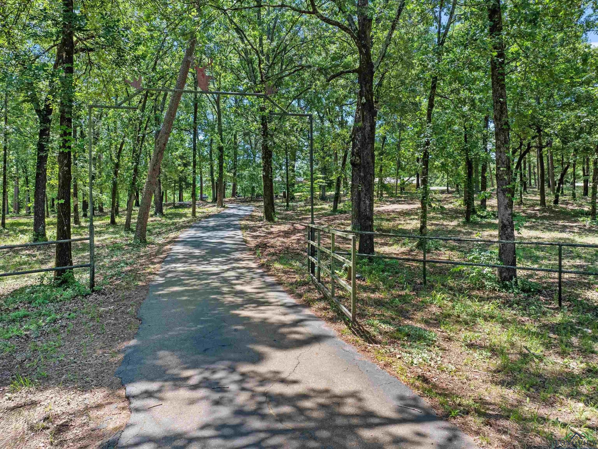 12.22 acres in Cass County gallery image 3