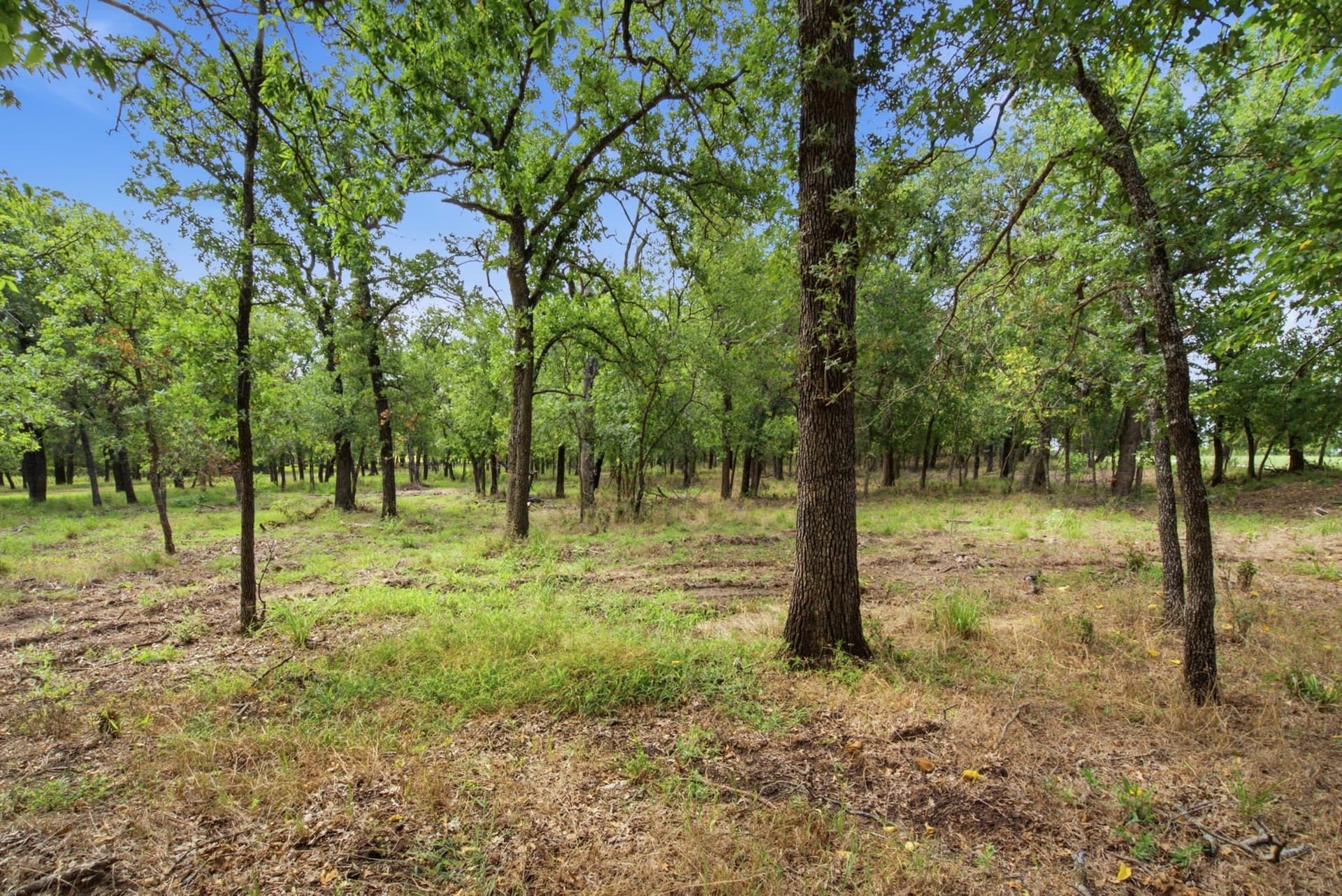 15.27 acres in Erath County - photo 26