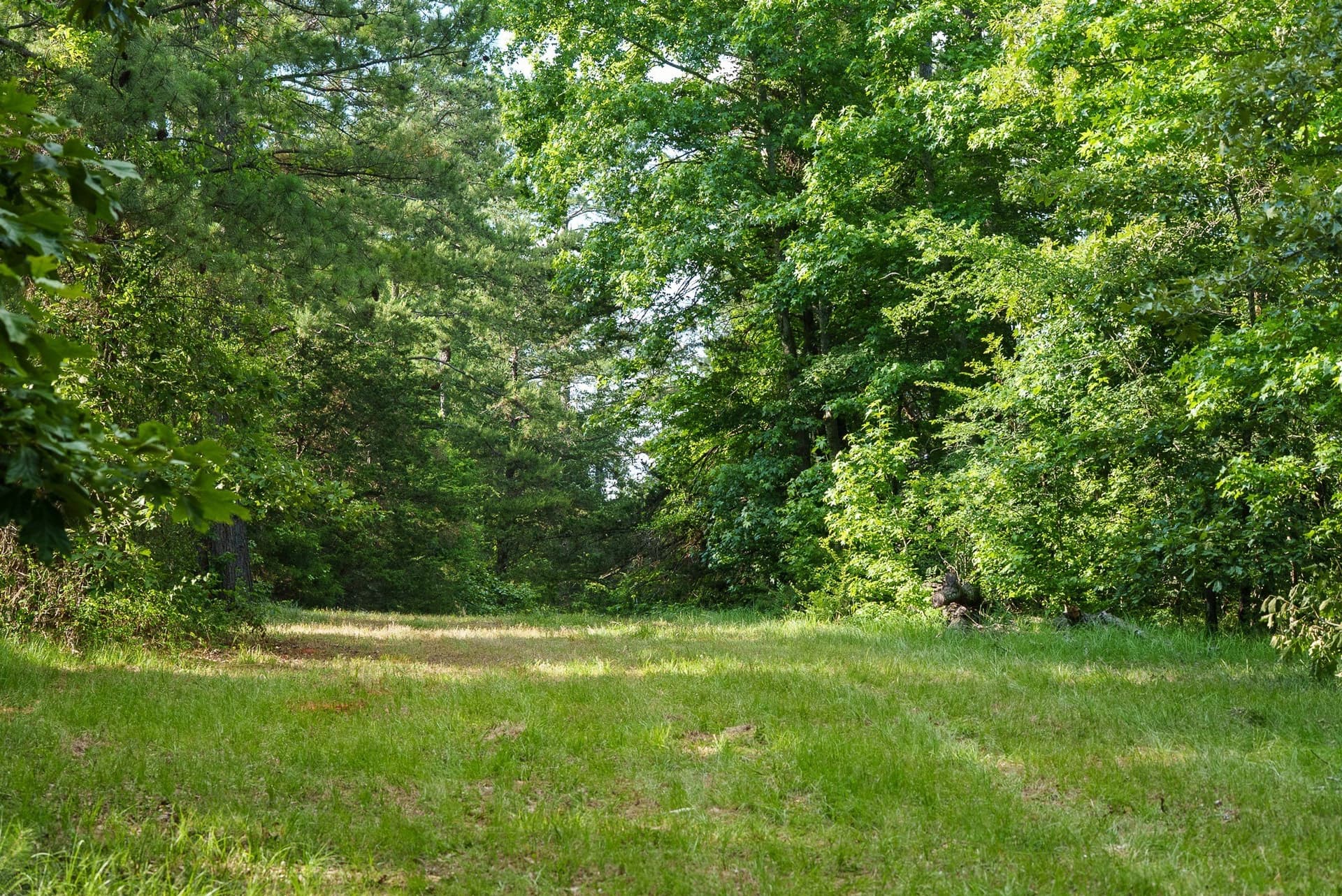 27.56 acres in Smith County - photo 6