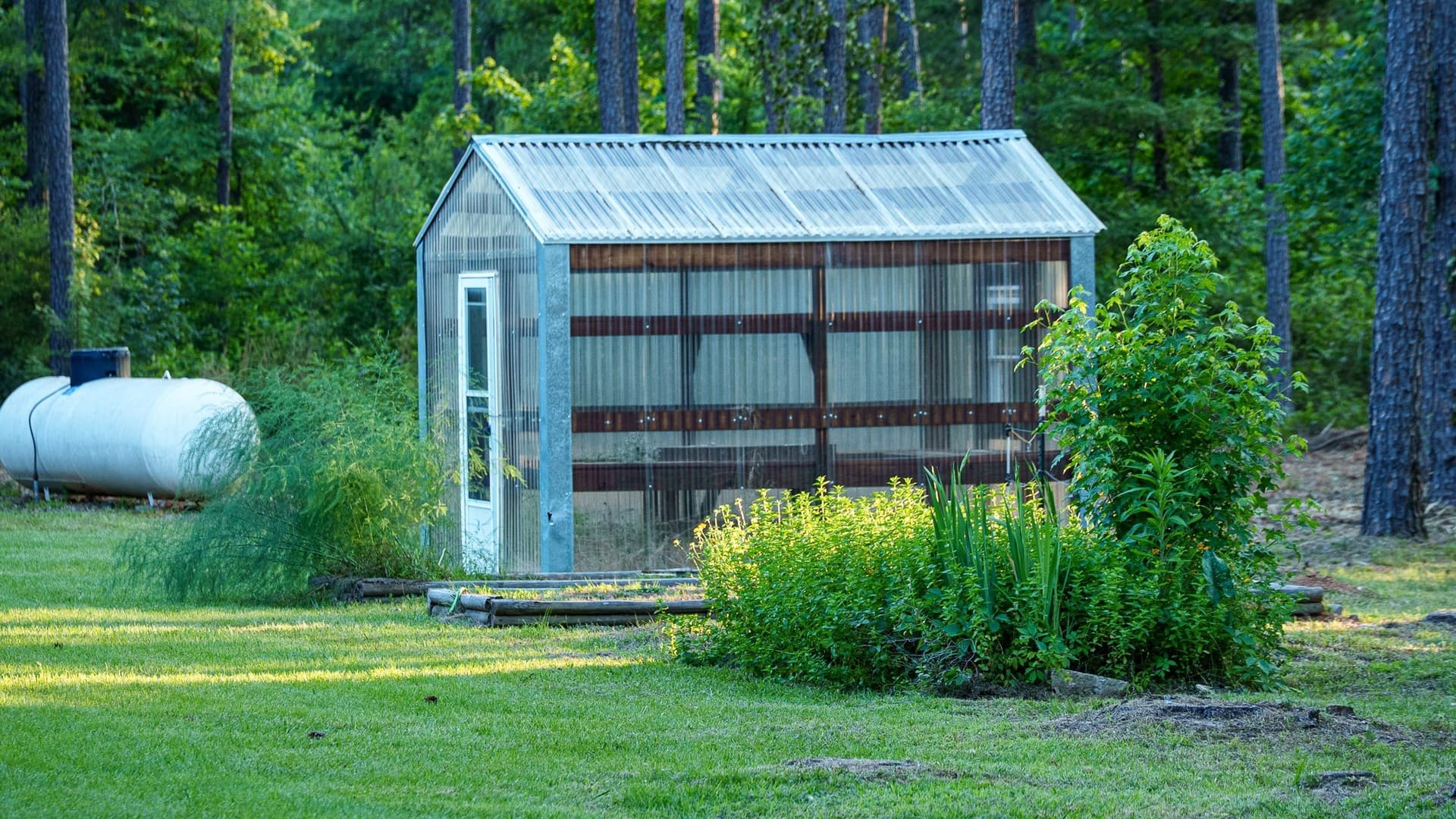27.56 acres in Smith County - photo 29