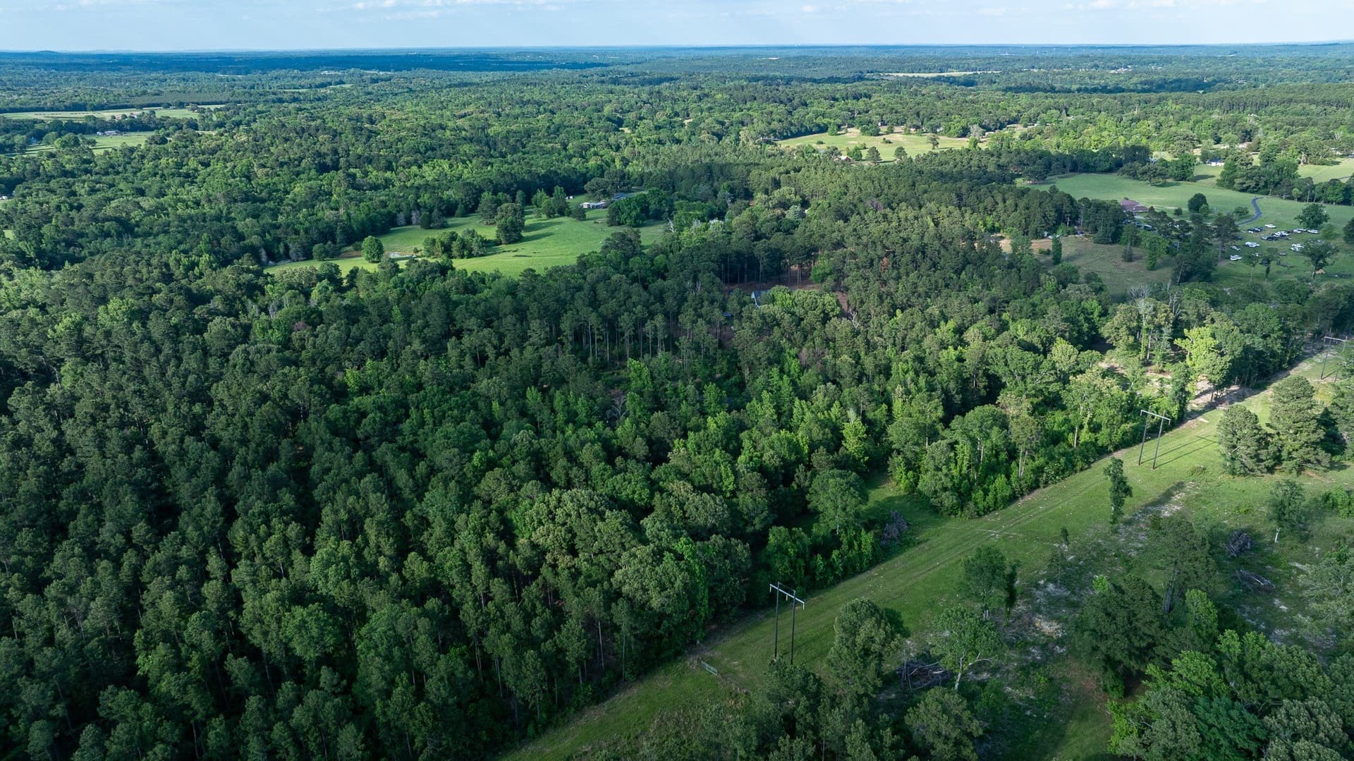 27.56 acres in Smith County gallery image 2
