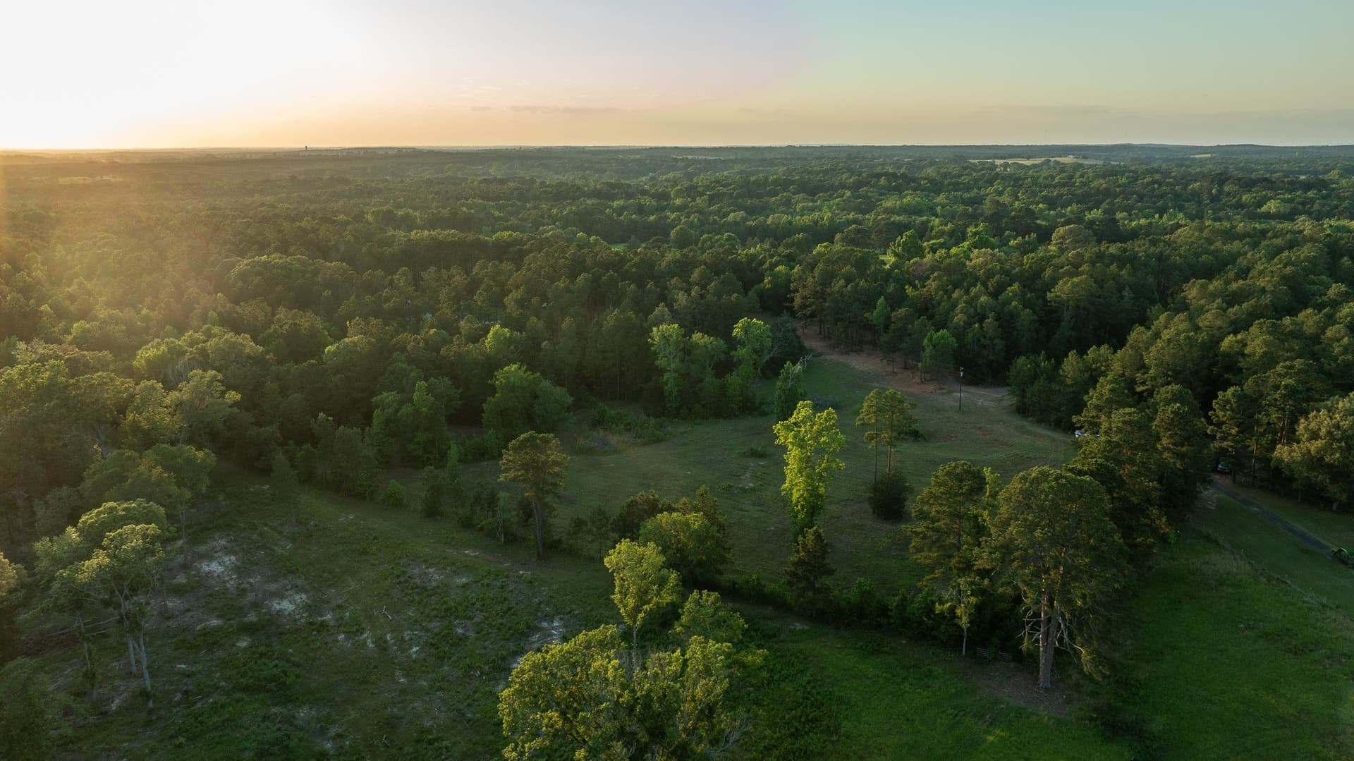 27.56 acres in Smith County gallery image 4