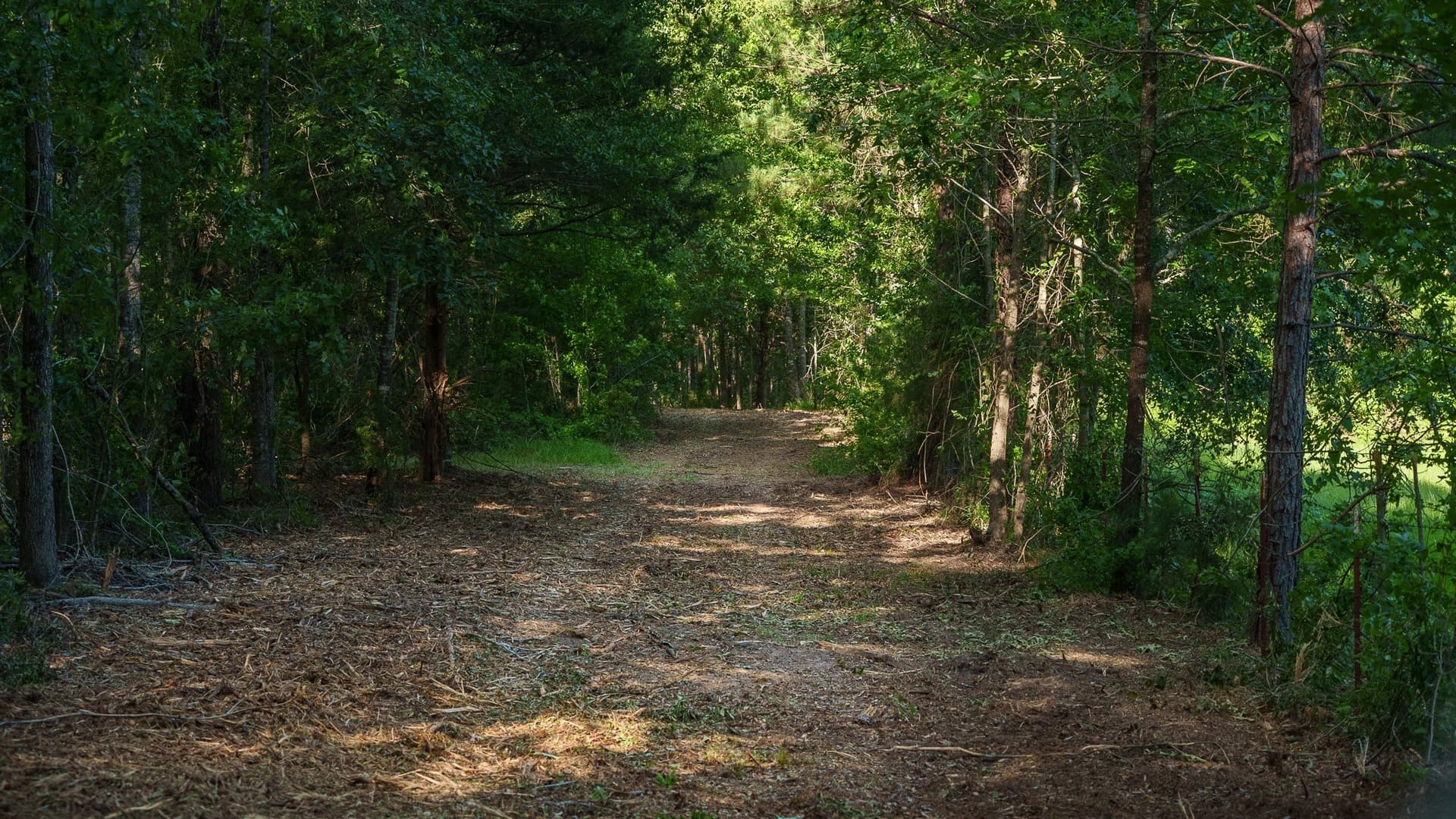 27.56 acres in Smith County - photo 8