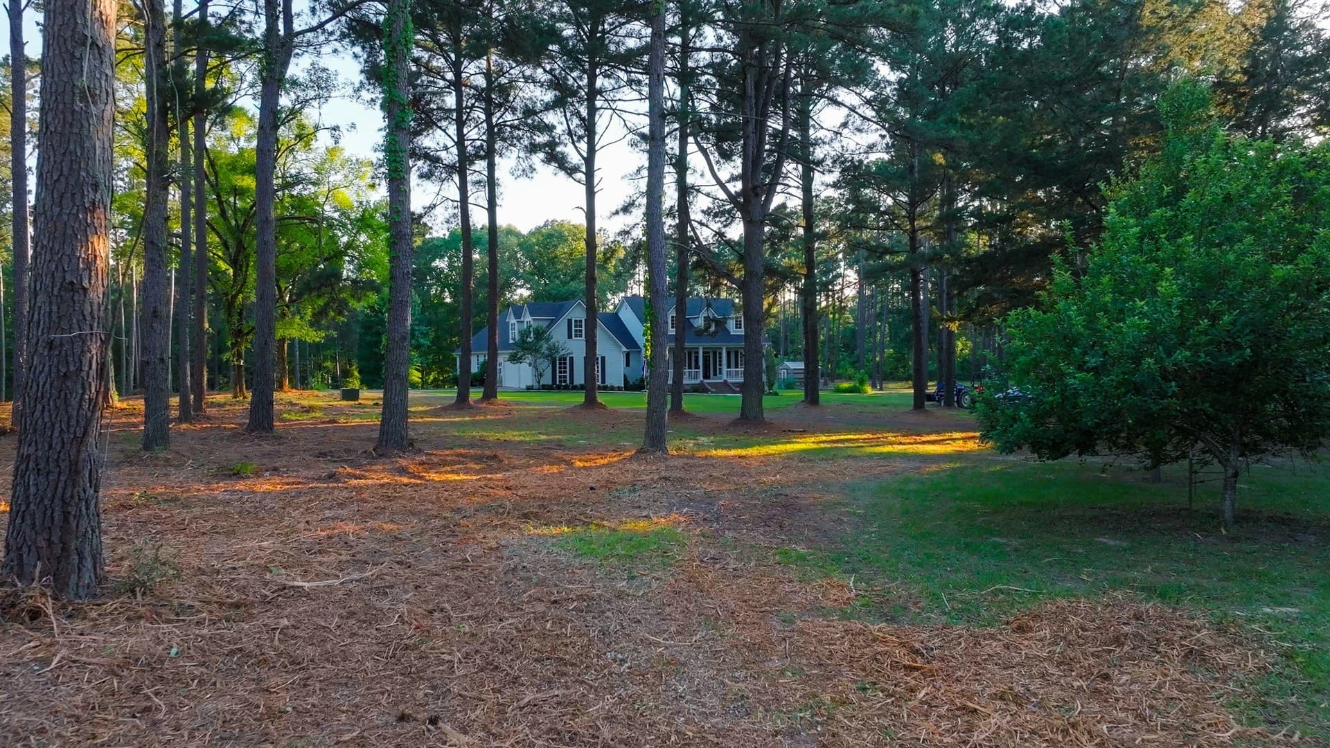 27.56 acres in Smith County - photo 13