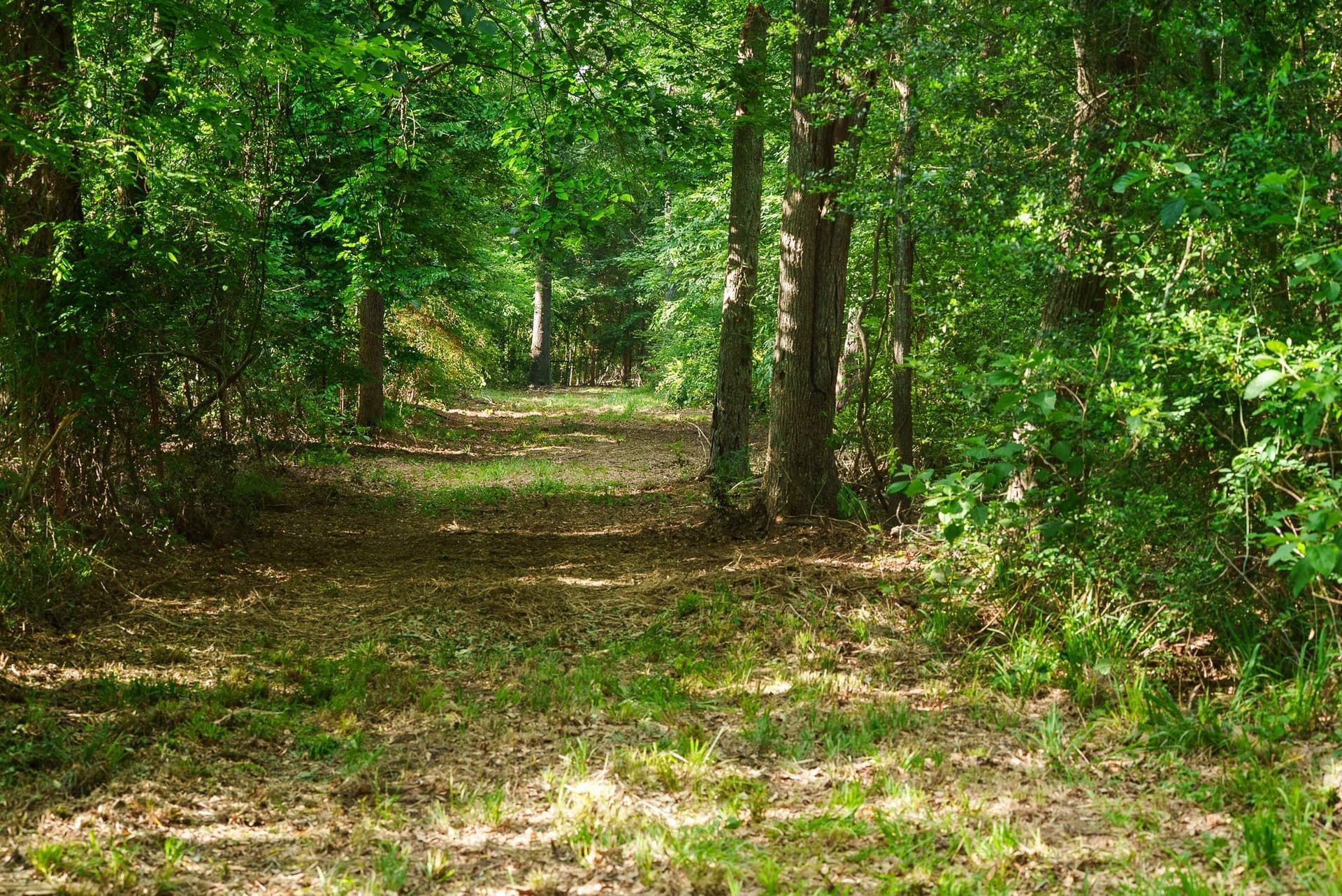 27.56 acres in Smith County - photo 7
