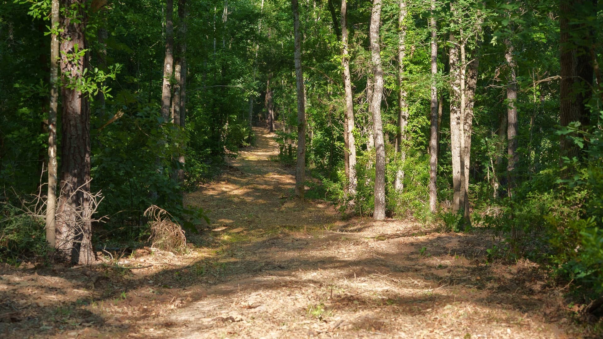 27.56 acres in Smith County - photo 10