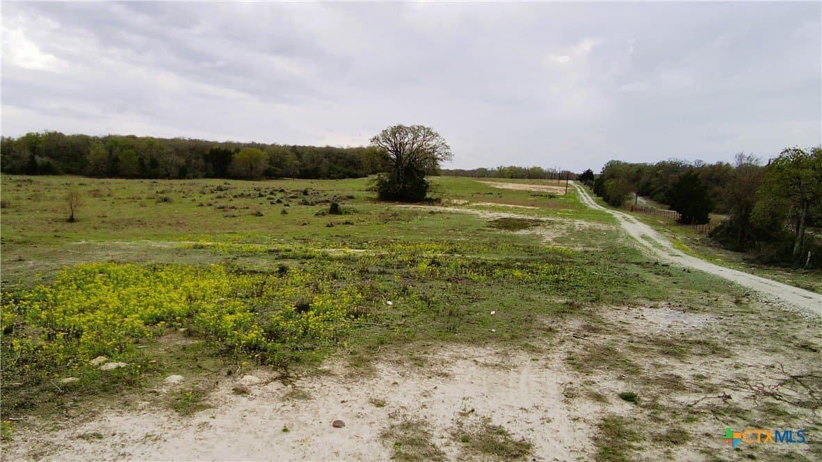 15 acres in Limestone County gallery image 4
