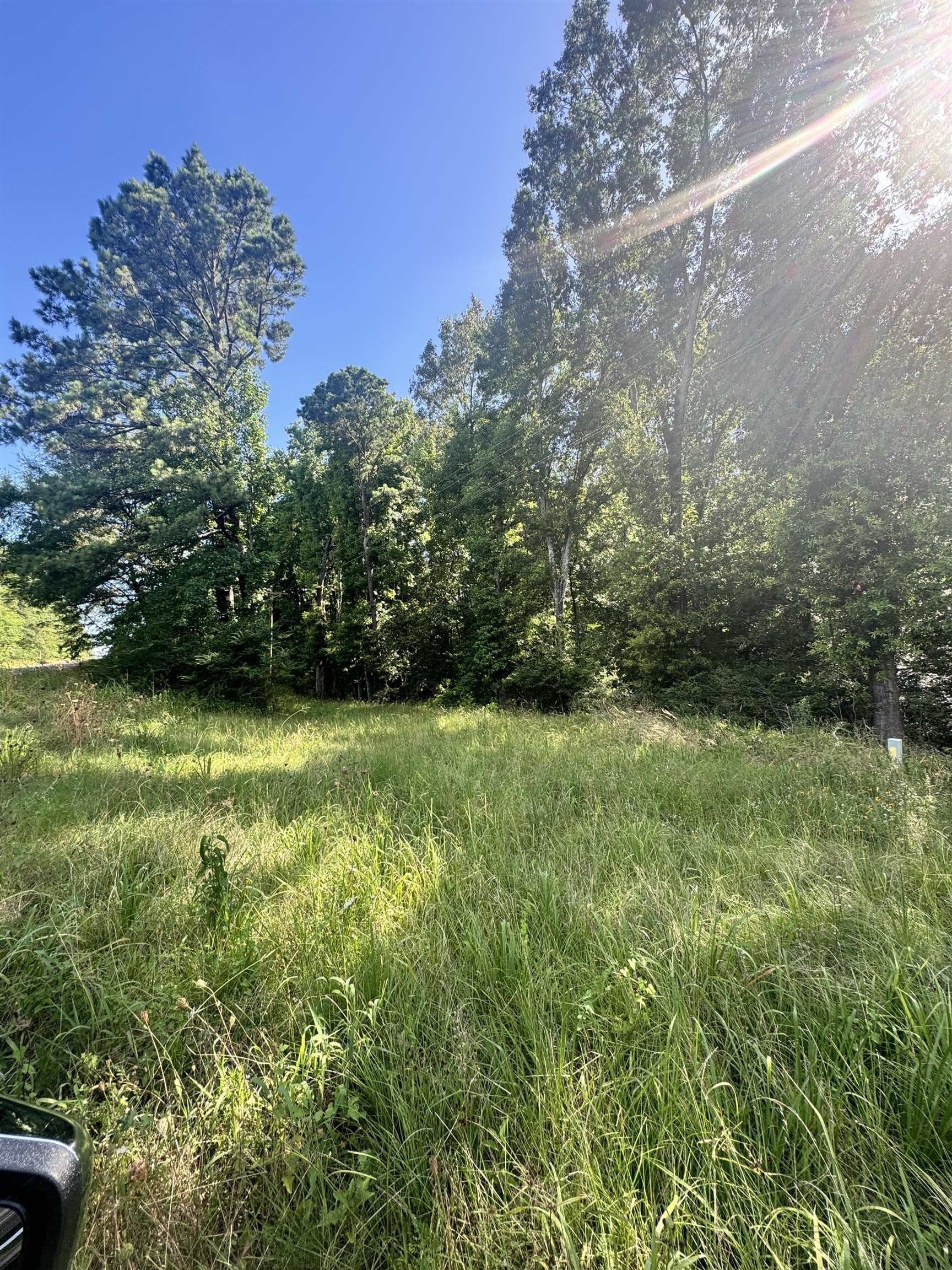 7.87 acres in Rusk County gallery image 4