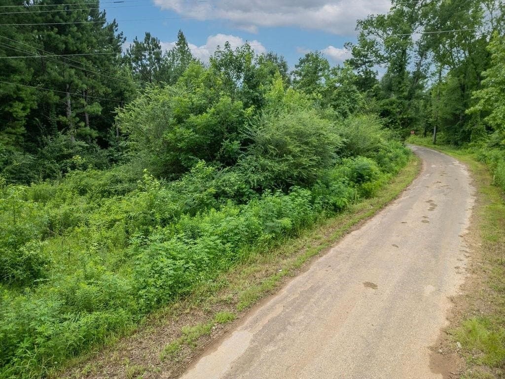 4 acres in Marion County - photo 16