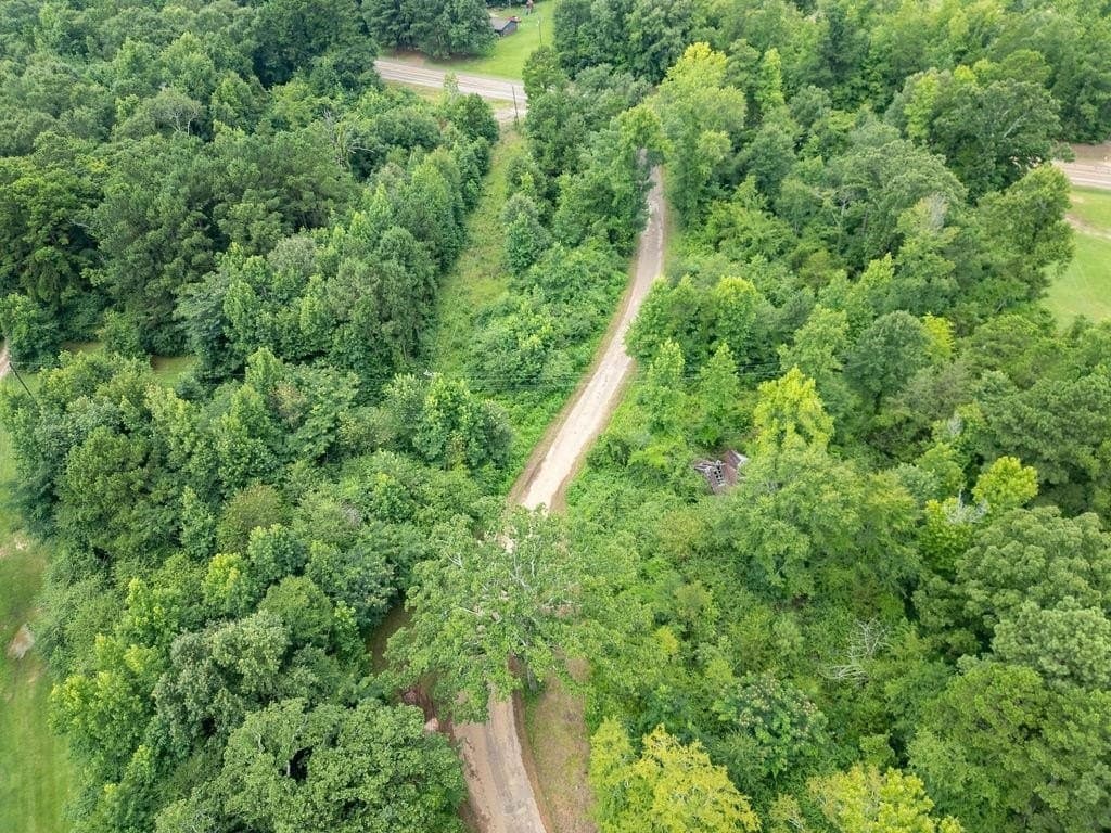 4 acres in Marion County - photo 9