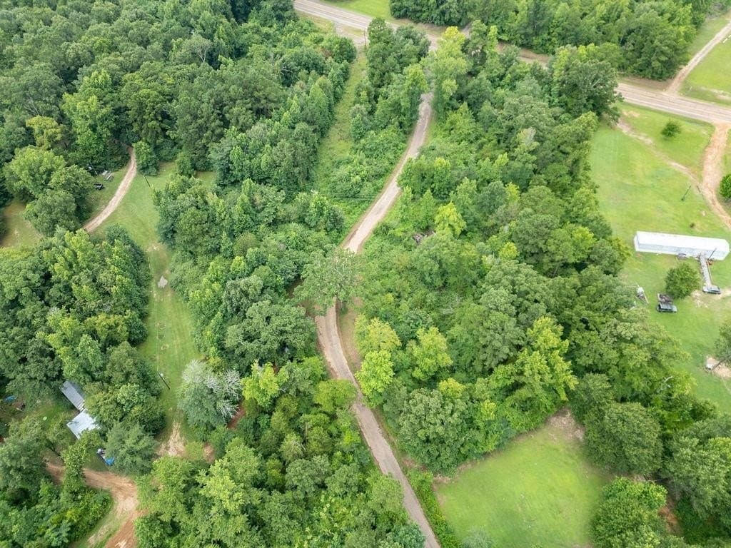 4 acres in Marion County - photo 8