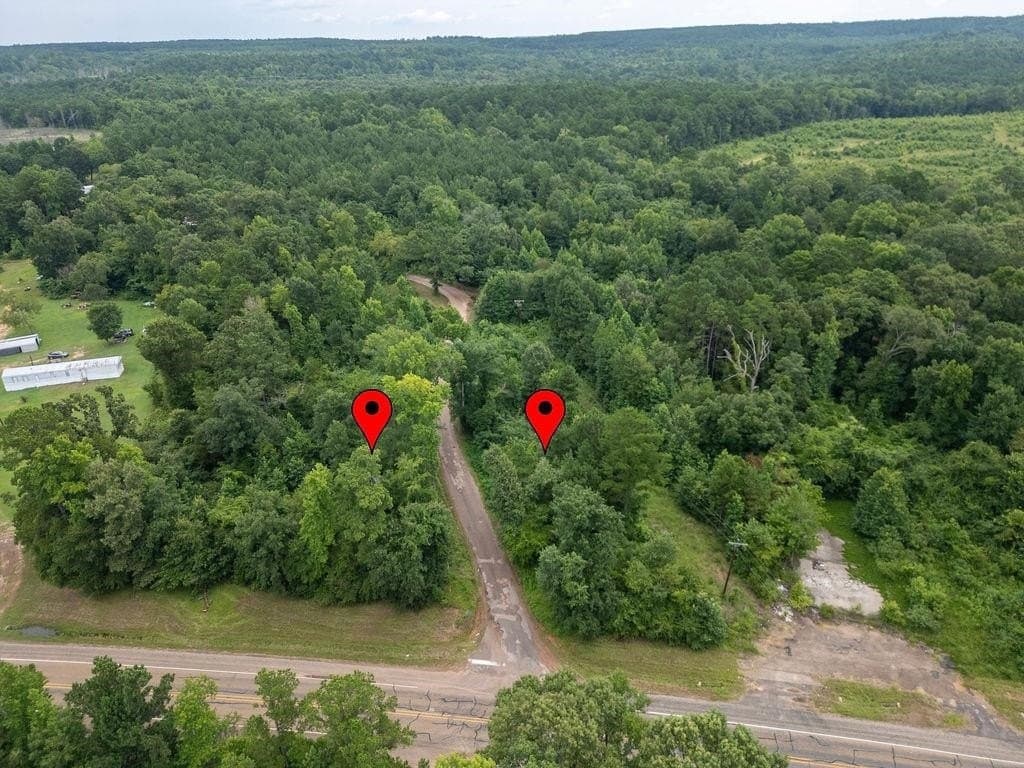 4 acres in Marion County gallery image 4