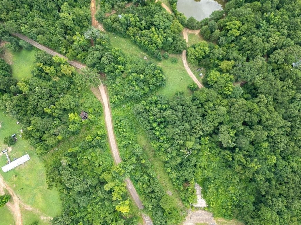 4 acres in Marion County - photo 10