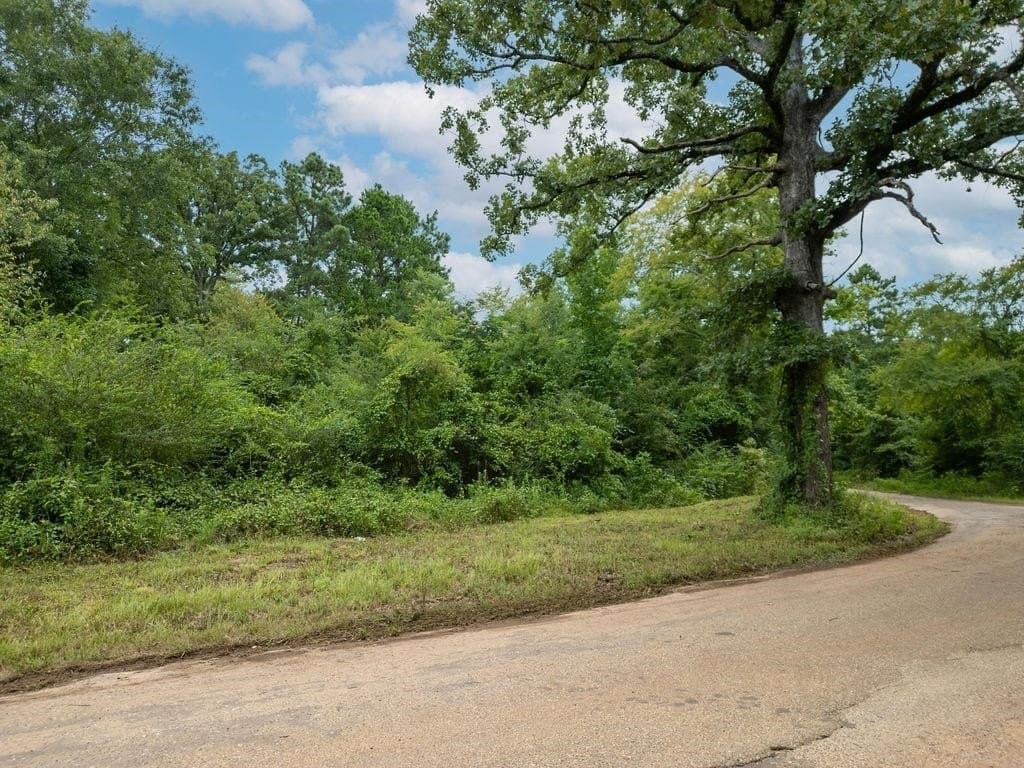 4 acres in Marion County - photo 15