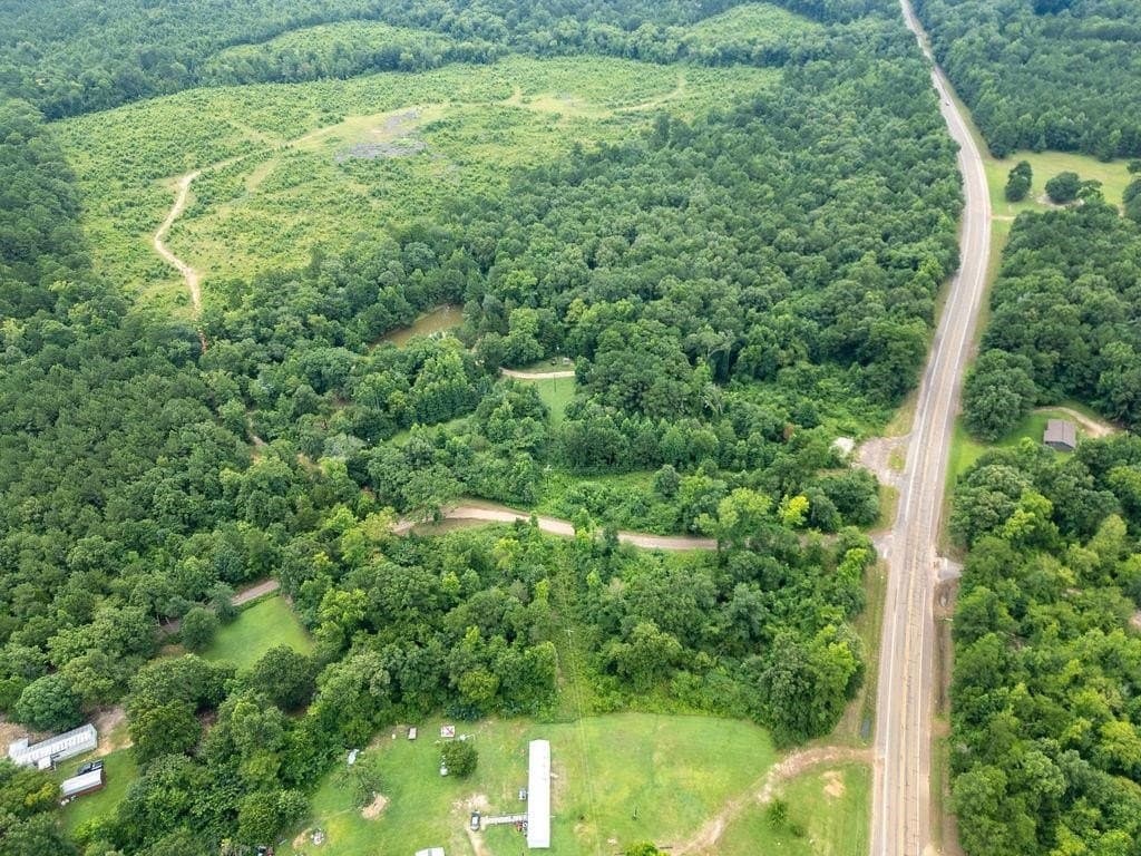 4 acres in Marion County - photo 12