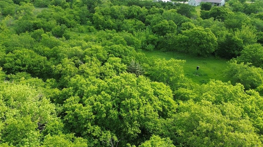 3.74 acres in Grayson County featured view