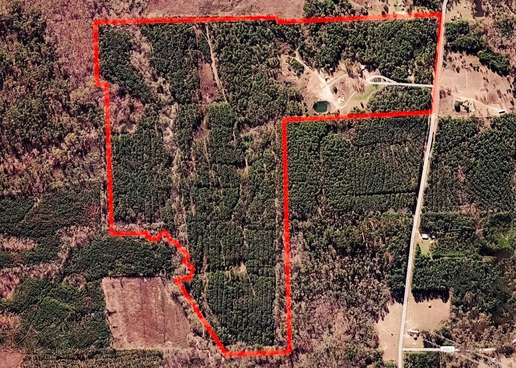 183.79 acres in Texas County