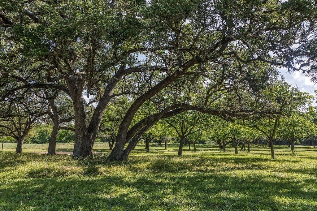 13.5 acres in Washington County featured view