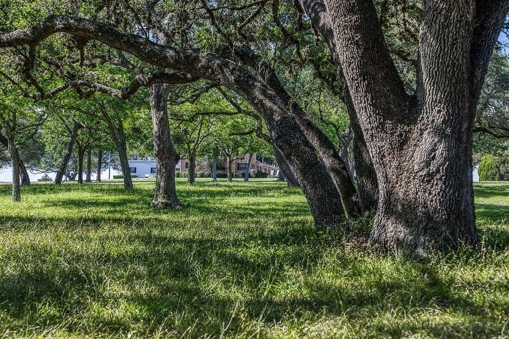 13.5 acres in Washington County gallery image 2