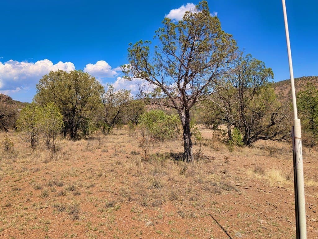 8 acres in Jeff Davis County gallery image 2