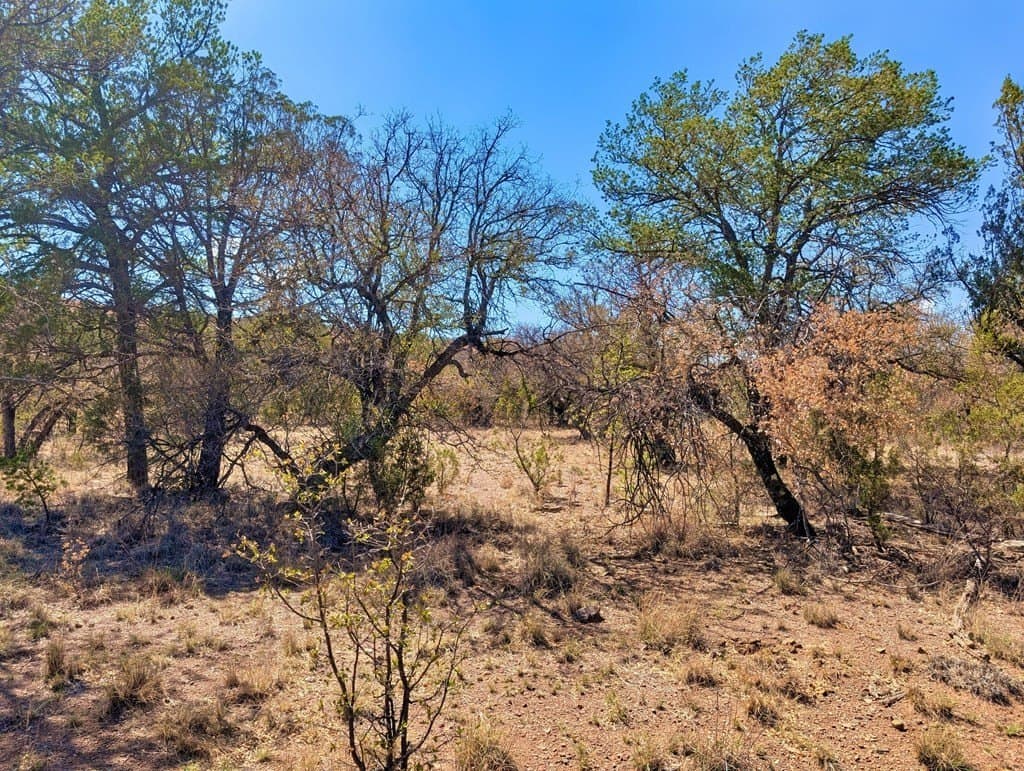 8 acres in Jeff Davis County gallery image 3