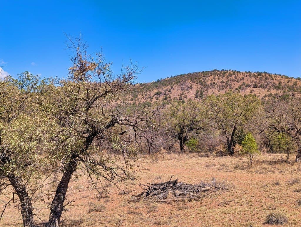 8 acres in Jeff Davis County featured view