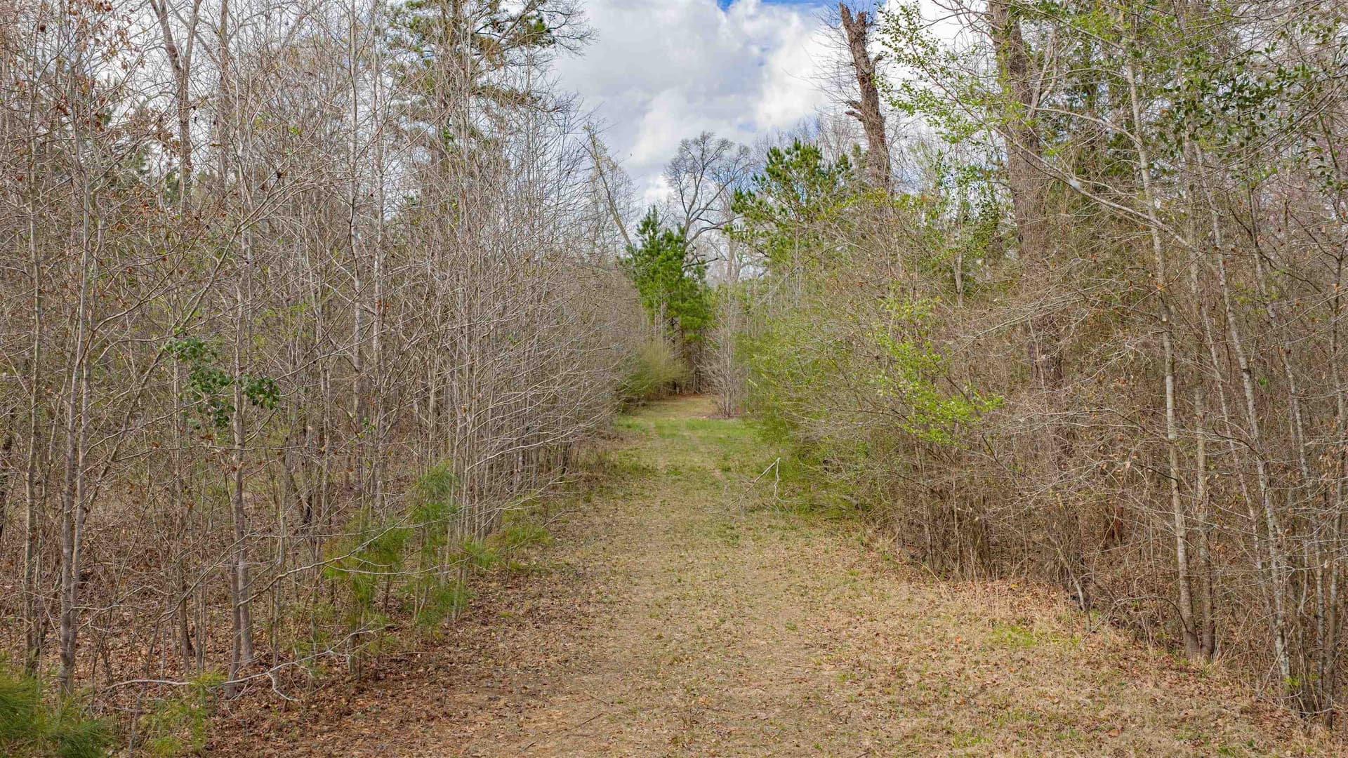 47.04 acres in Texas County featured view