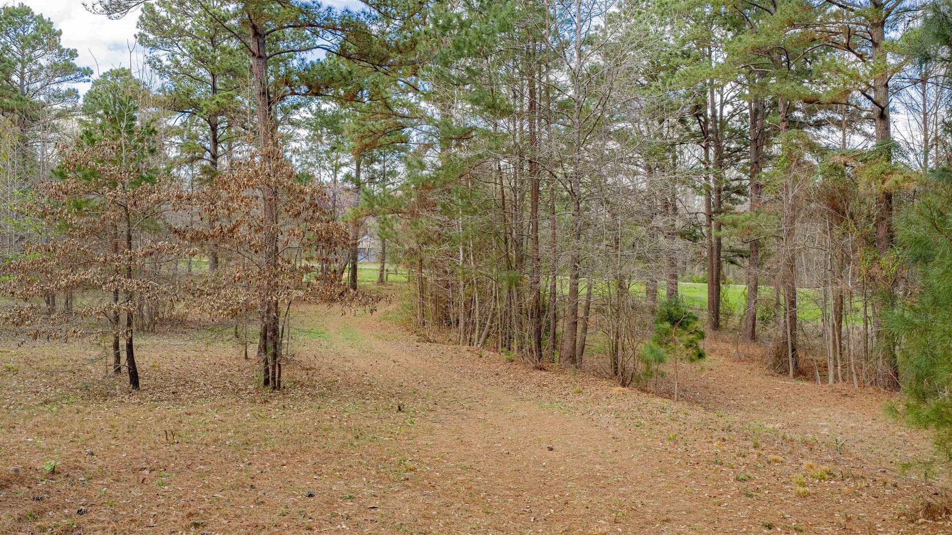 47.04 acres in Texas County gallery image 2