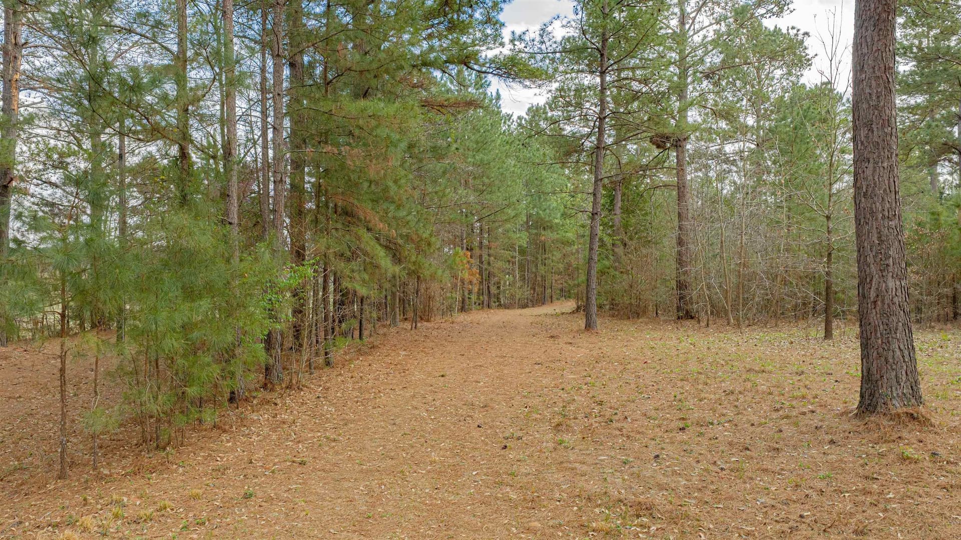 47.04 acres in Texas County gallery image 4