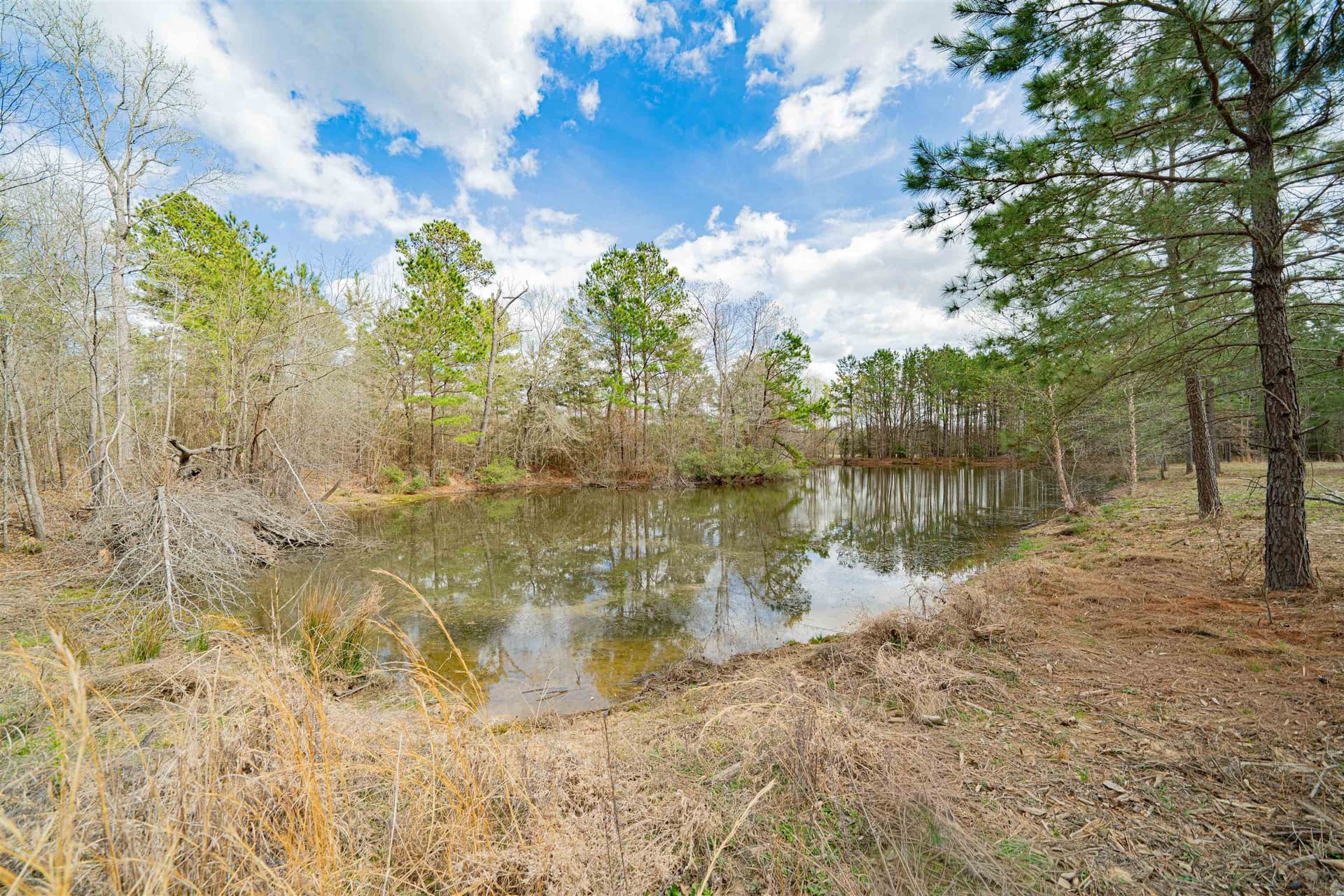 47.04 acres in Texas County gallery image 3