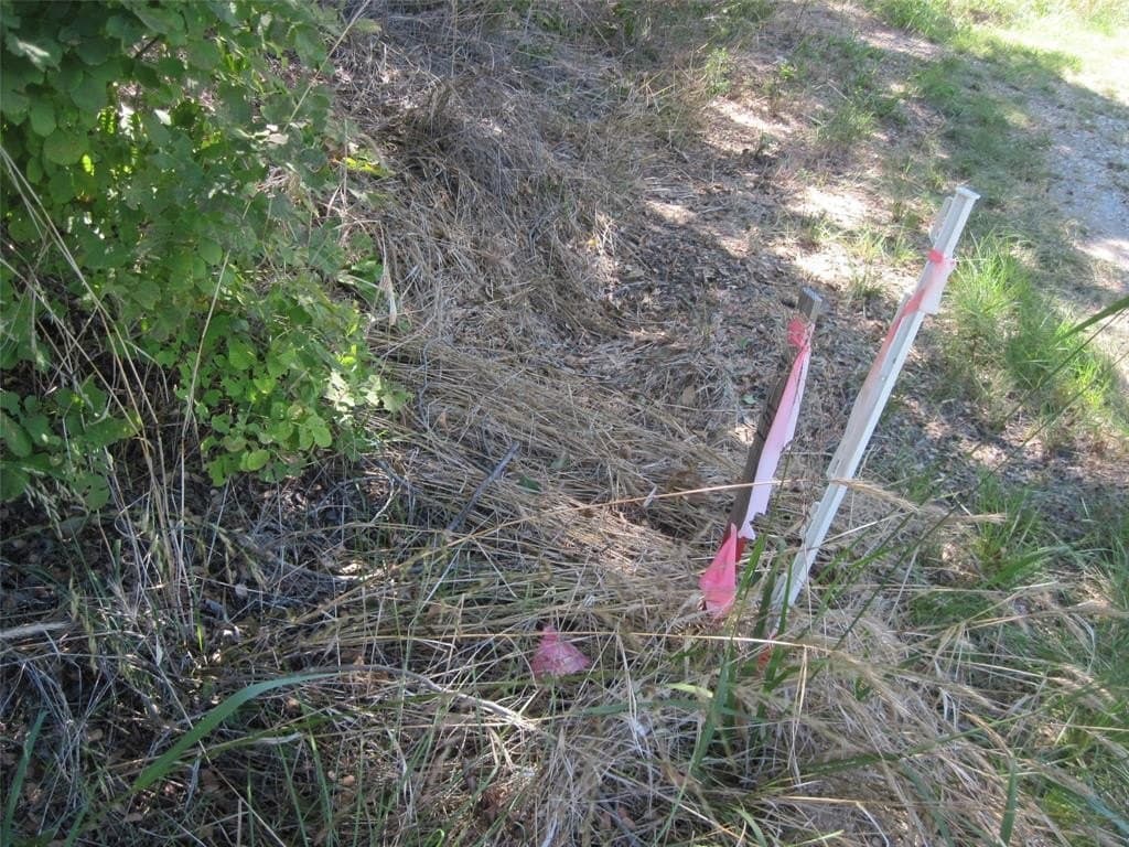 0.23 acres in Hood County gallery image 3